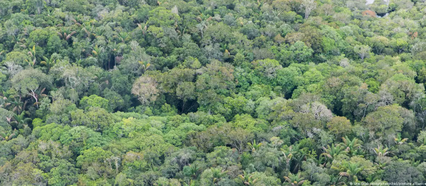 Diez años del Acuerdo de París, ¿cuál ha sido su impacto?